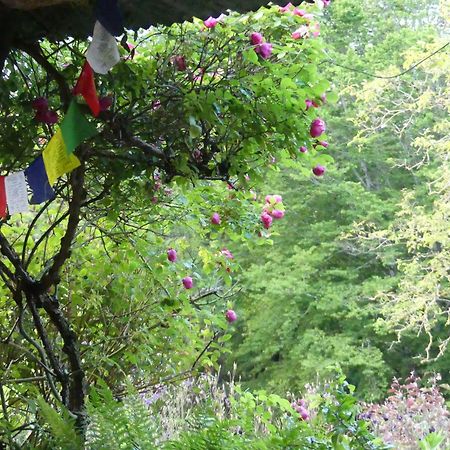 Bed and Breakfast Au Coeur Des Loges Saint-Bonnet-de-Bellac Exterior foto